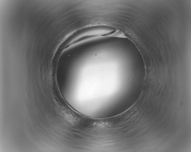 X0000053110440200507251701