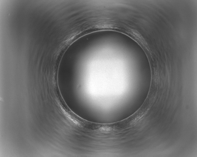 X0000053110441200507251701