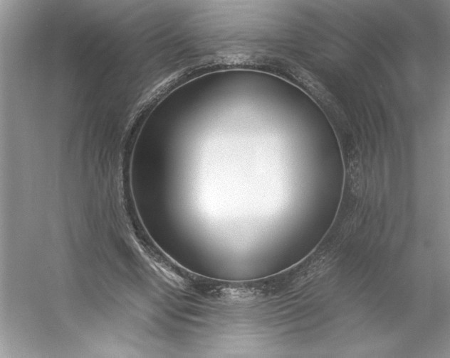 X0000053110442200507251701