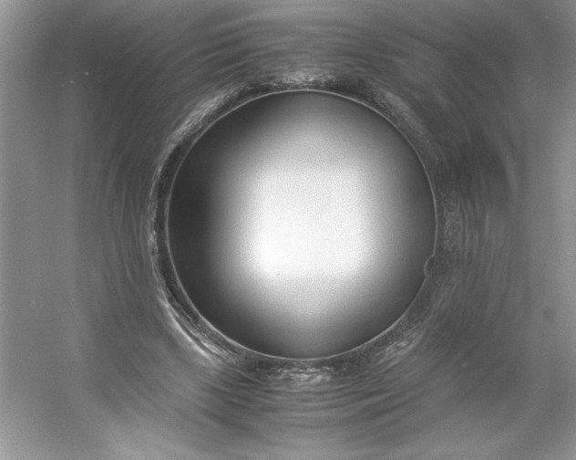 X0000053110443200507251701