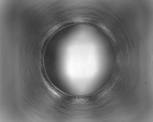 X0000053110445200507251701