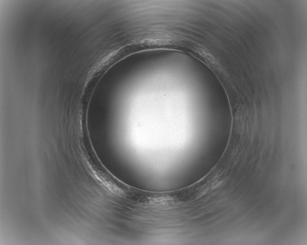 X0000053110446200507251701