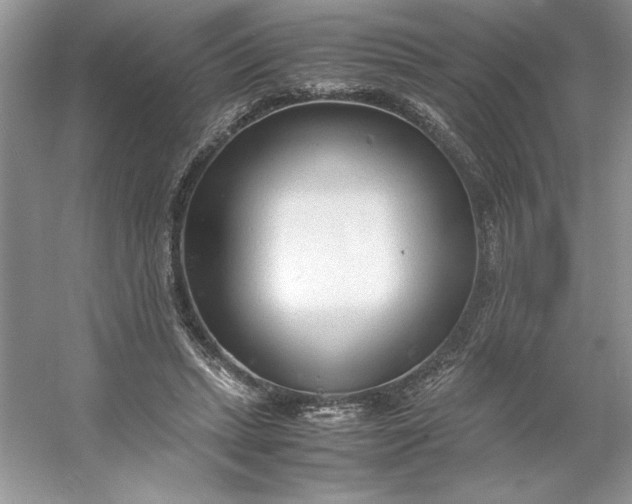 X0000053110447200507251701