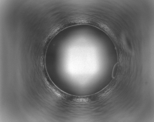 X0000053110449200507251701