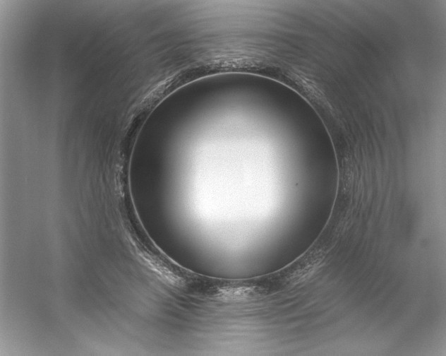 X0000053110450200507251701