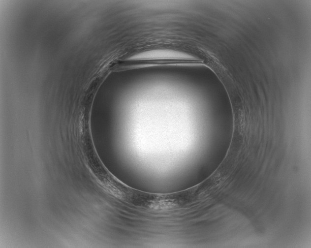 X0000053110451200507251701