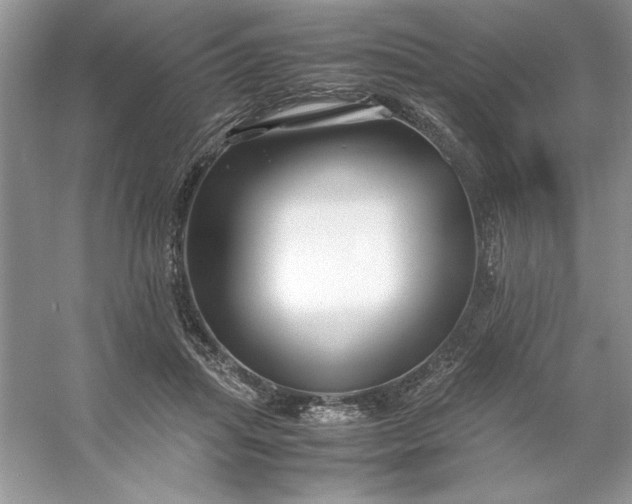 X0000053110455200507251701