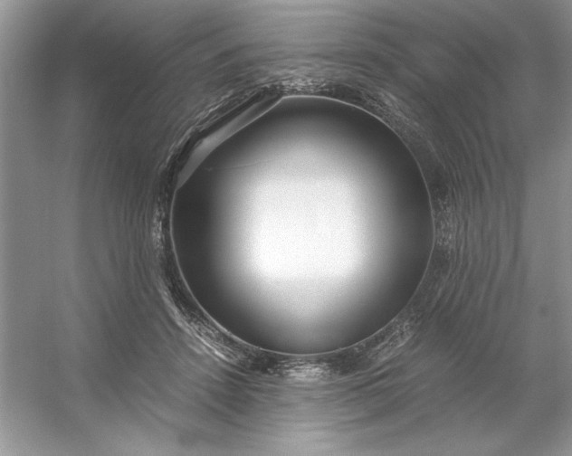 X0000053110456200507251701