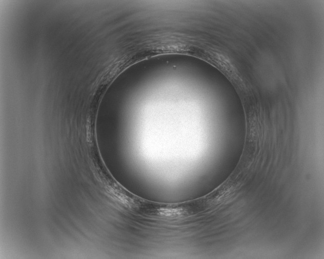 X0000053110457200507251701