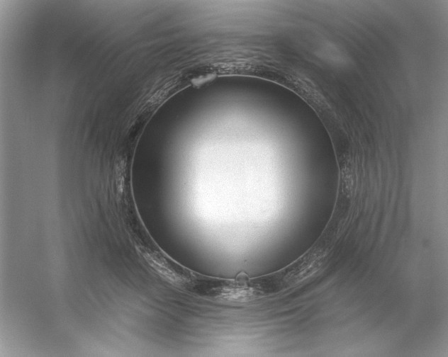 X0000053110458200507251701