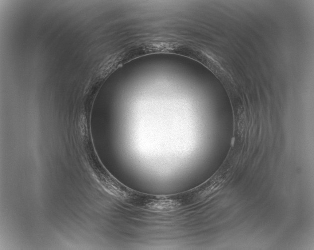 X0000053110459200507251701