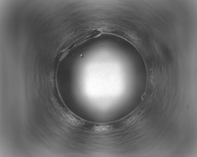 X0000053110461200507251701