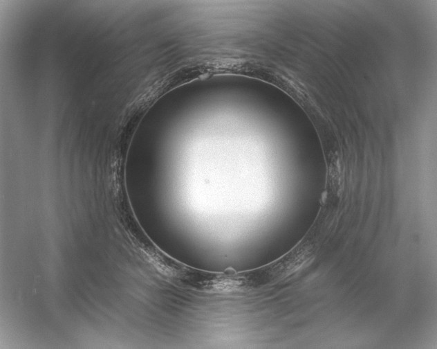 X0000053110462200507251701