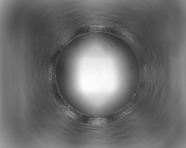 X0000053110463200507251701