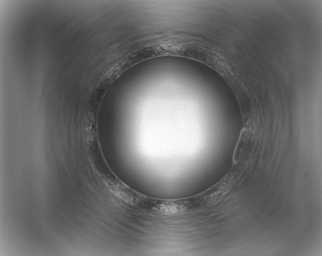 X0000053110464200507251701