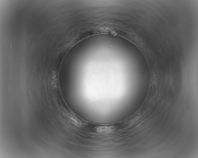 X0000053110465200507251701