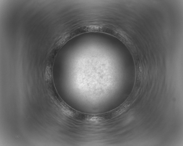 X0000053110467200507251701