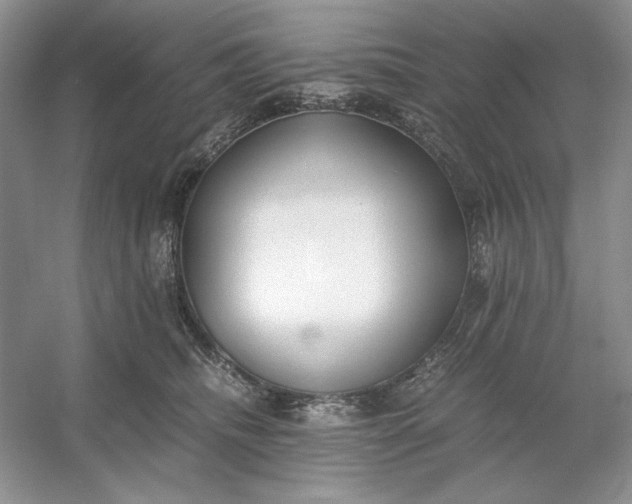 X0000053110468200507251701