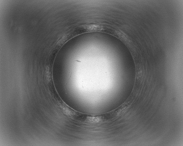 X0000053110469200507251701
