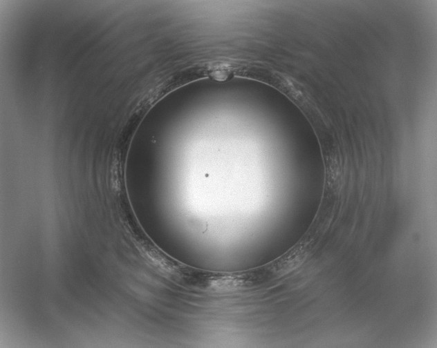X0000053110470200507251701