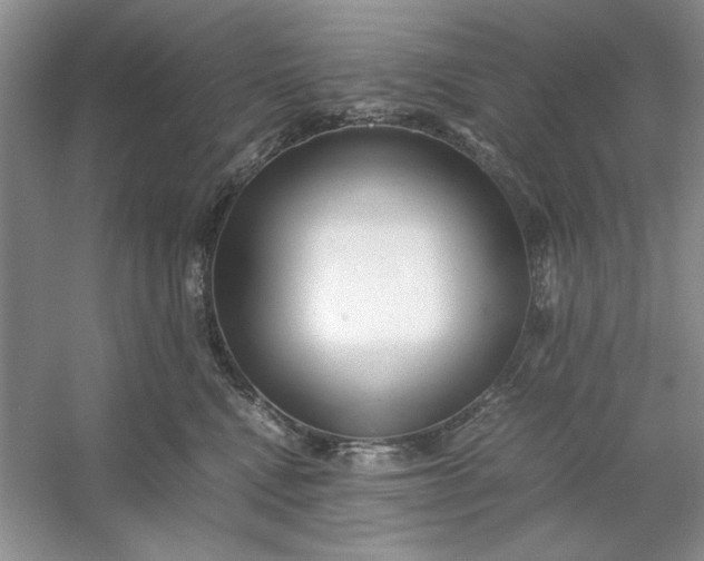 X0000053110472200507251701