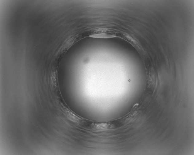 X0000053110473200507251701