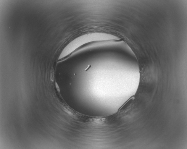 X0000053110474200507251702