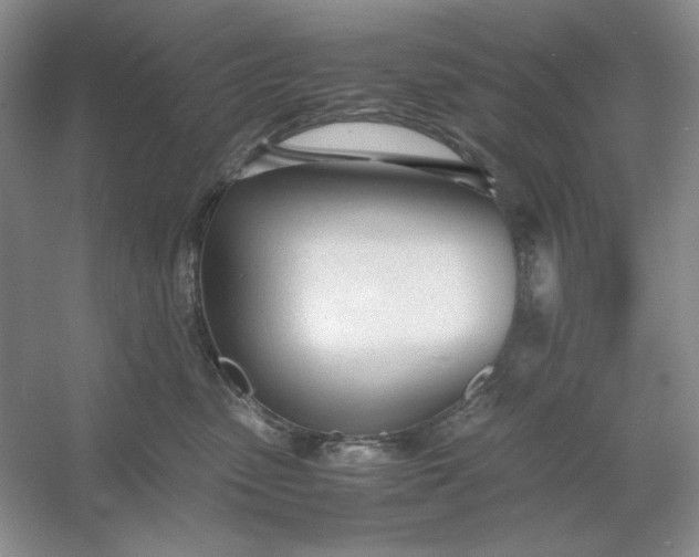 X0000053110475200507251702
