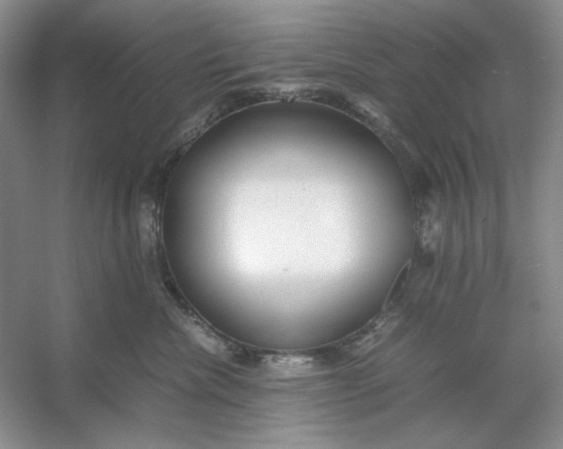 X0000053110476200507251702