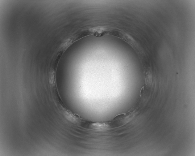 X0000053110477200507251702