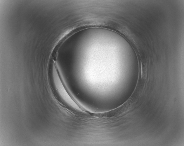 X0000053110483200507251701
