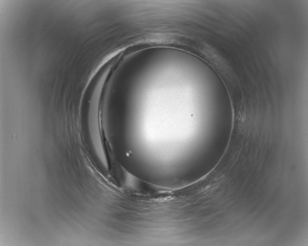 X0000053110484200507251701