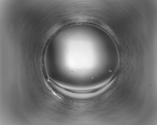 X0000053110485200507251701