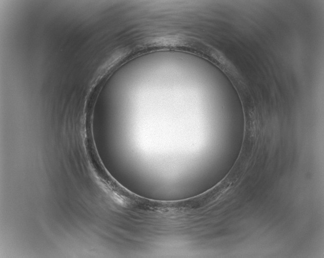 X0000053110486200507251701