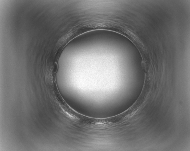 X0000053110489200507251701