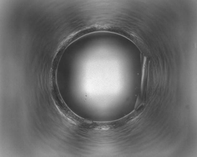X0000053110492200507251701