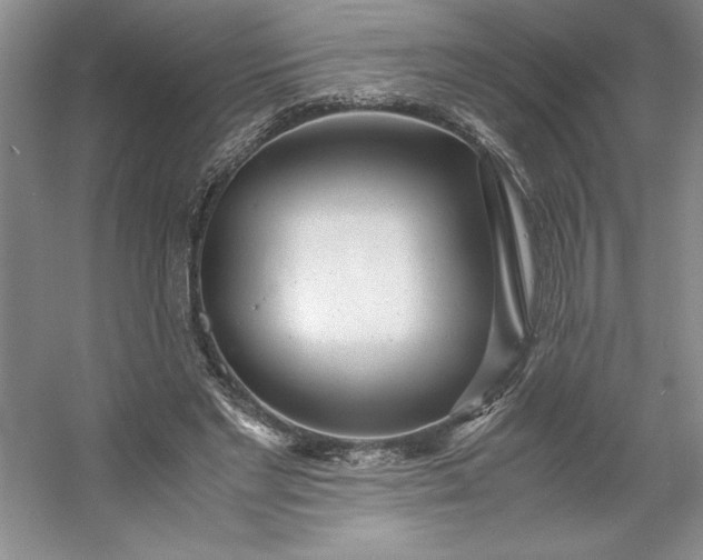 X0000053110493200507251701