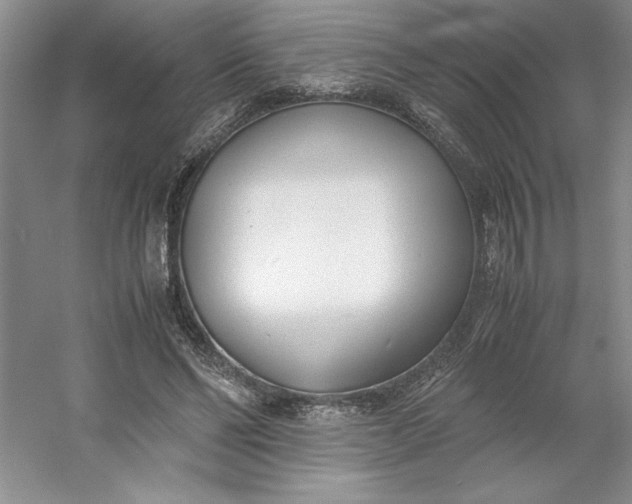 X0000053110494200507251701