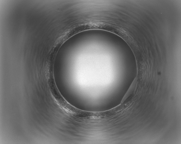 X0000053110496200507251701