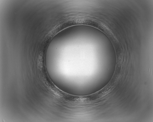 X0000053110497200507251701