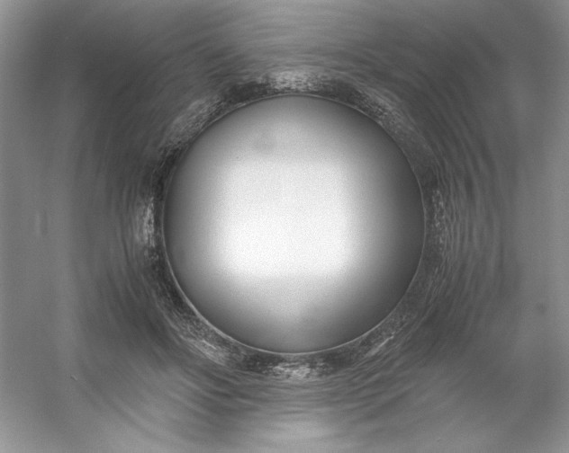 X0000053110502200507251700