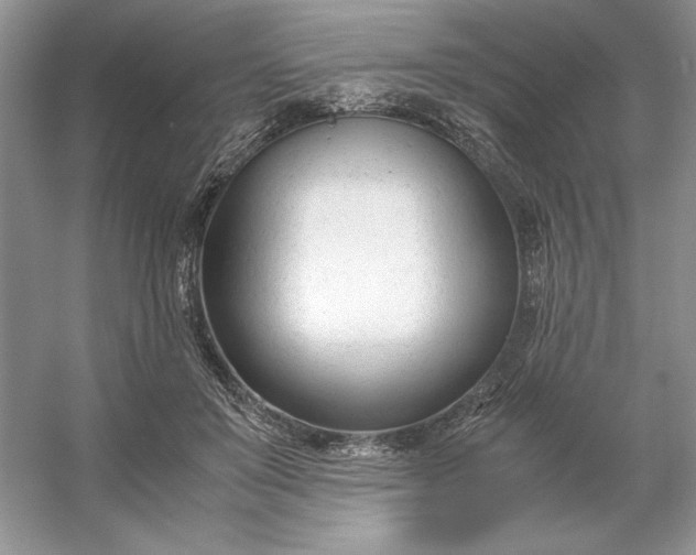 X0000053110503200507251700
