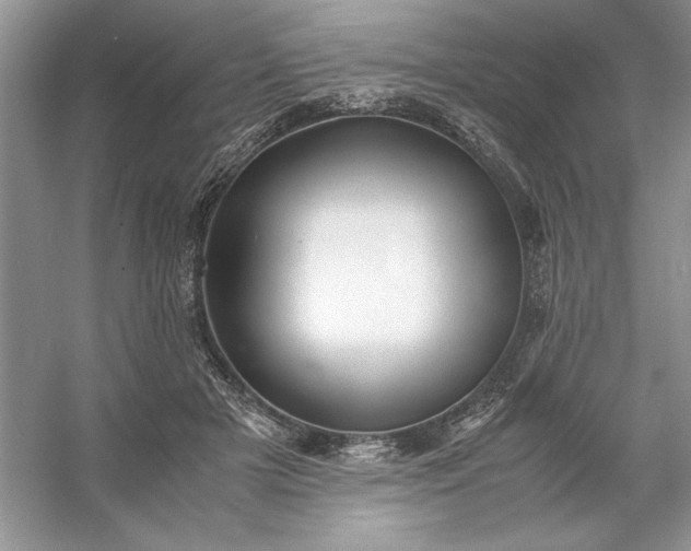 X0000053110505200507251700