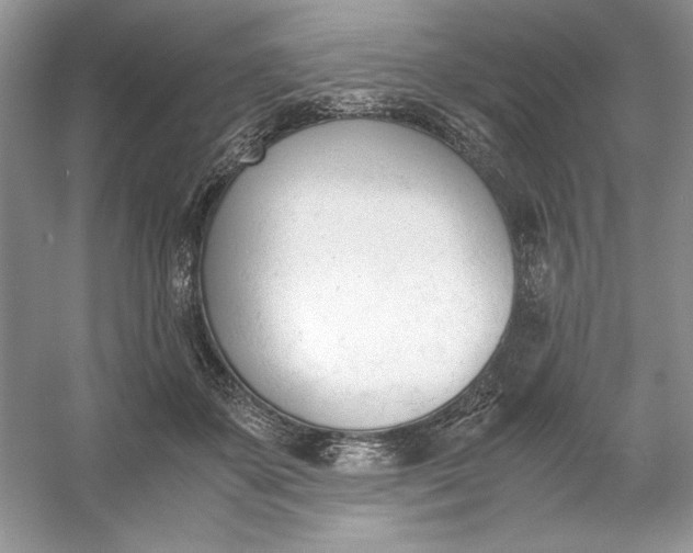 X0000053110507200507251700