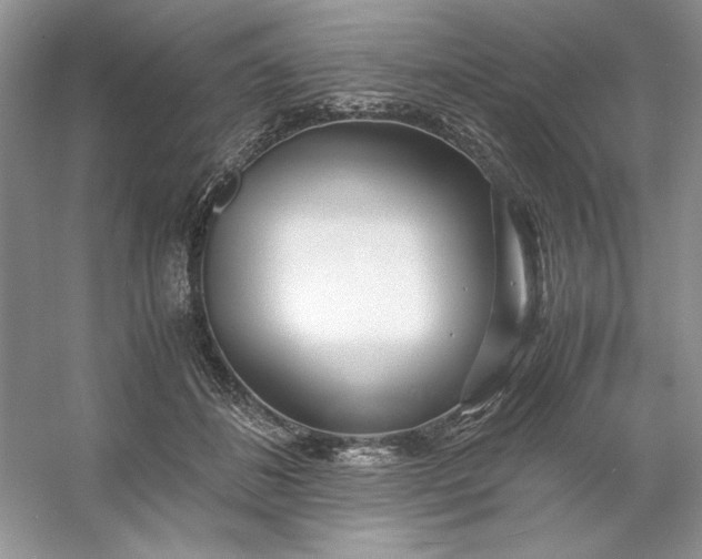 X0000053110508200507251700