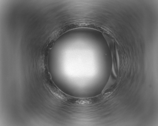X0000053110512200507251700