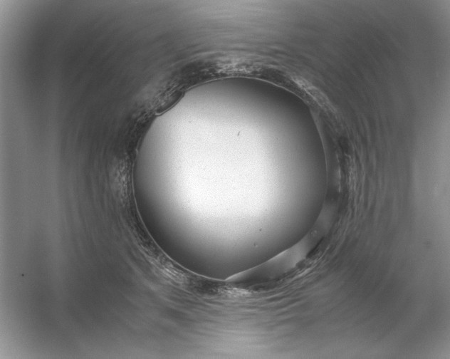 X0000053110513200507251700