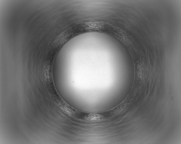 X0000053110514200507251700