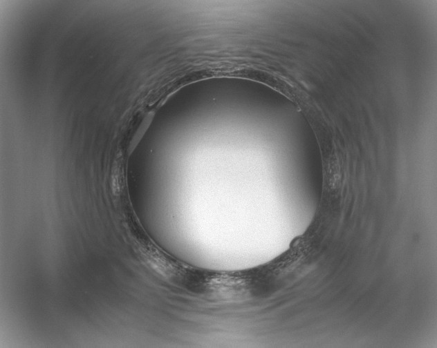 X0000053110515200507251700
