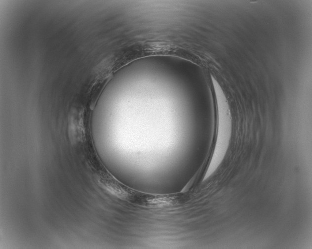 X0000053110516200507251700